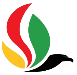 Falcon Energies logo